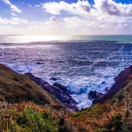 Ty Helyg St. Davids (Pembrokeshire) Ngoại thất bức ảnh