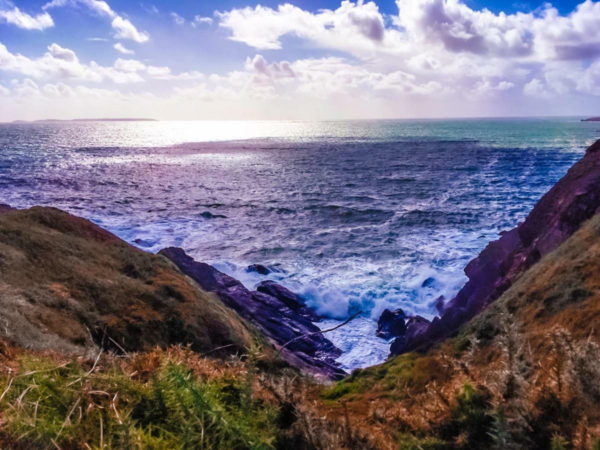 Ty Helyg St. Davids (Pembrokeshire) Ngoại thất bức ảnh